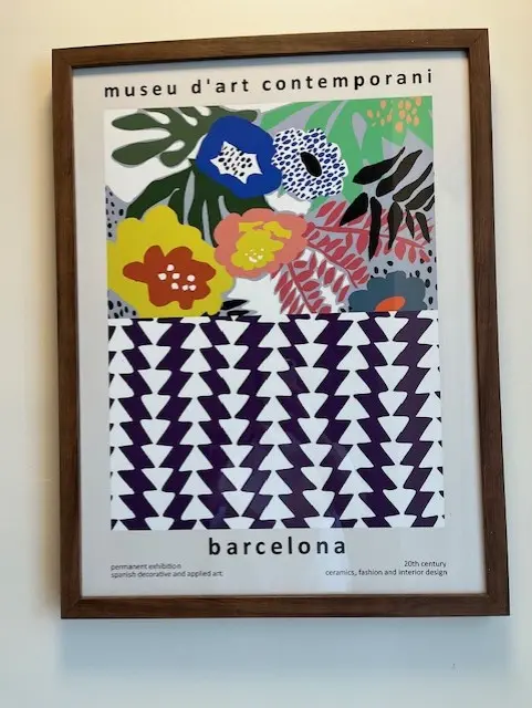 Museu d'Art Contemporani frame - Artistic and contemporary design