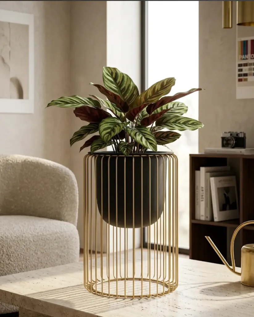 [LIQ-DEC-VAS-441-N] Black plant pot on a gold metal cage, D21xH30cm