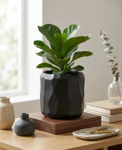 [LIQ-DEC-VAS-12-N] Matte black planter with textured rim - Modern and refined style