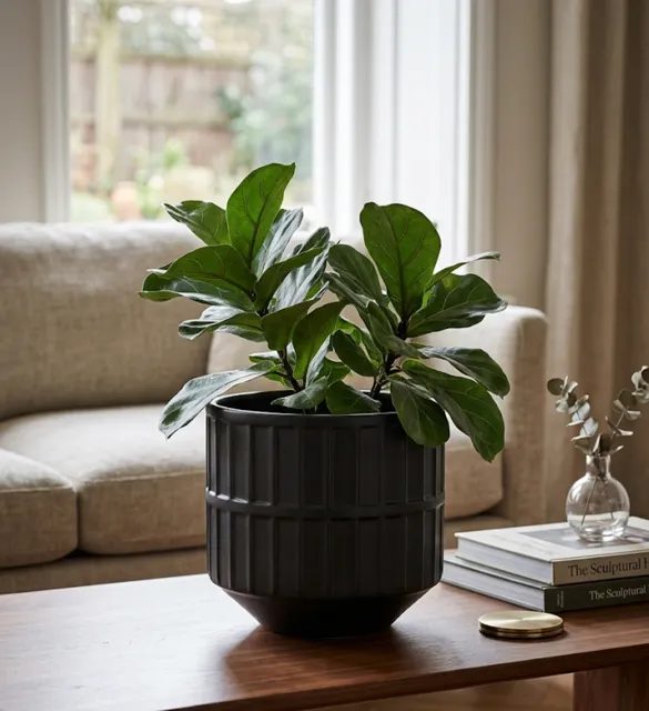 Black planter with decorative rim pattern - Elegant and contemporary style